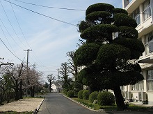 1号館